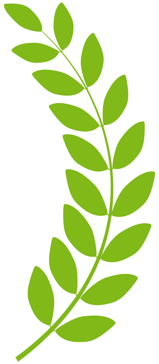 Award leaf